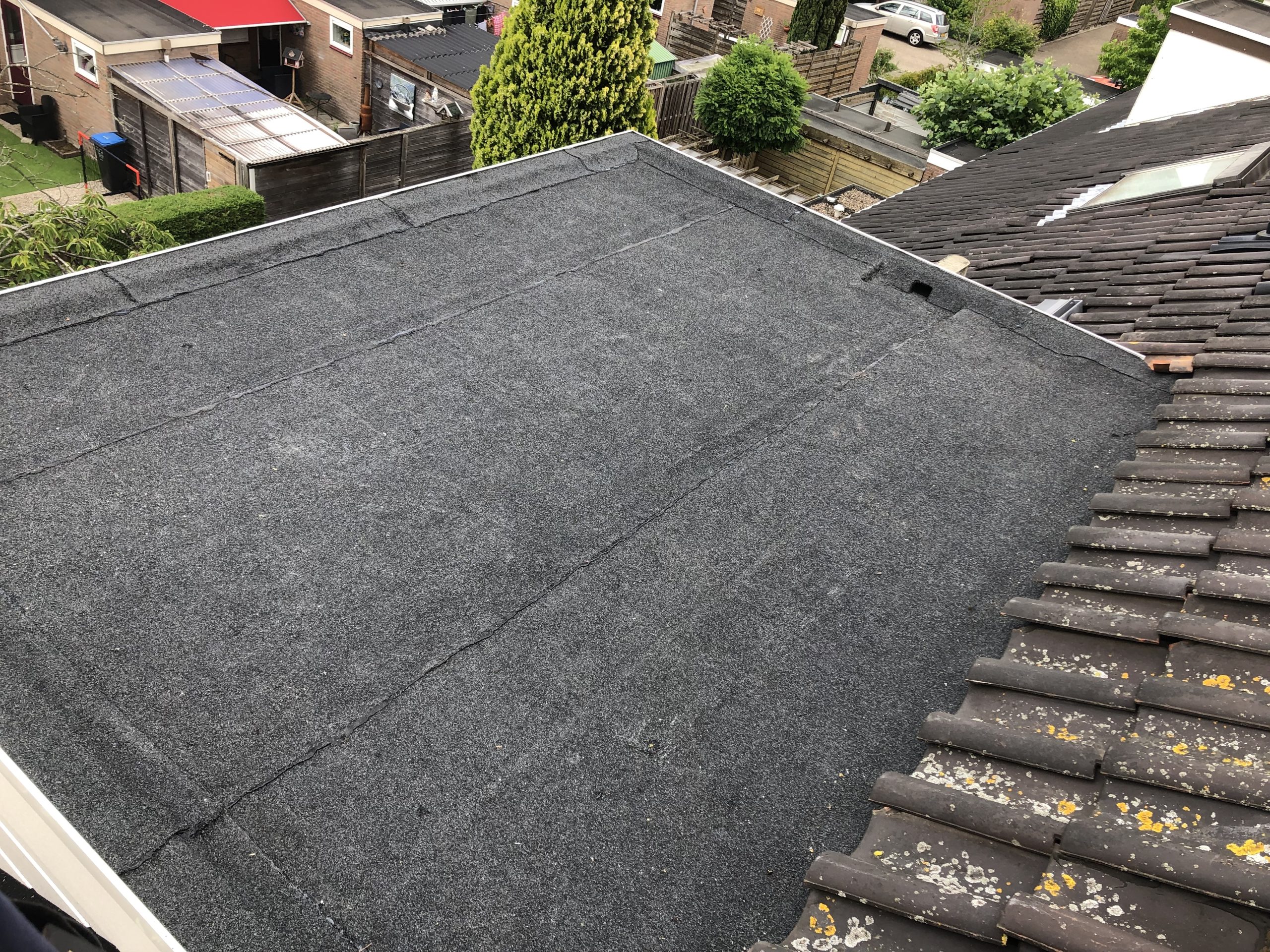 IMG_4268 img_dakkapell_2